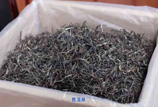 云南永明茶厂茶叶好吗？全面评测告诉你是不是值得购买