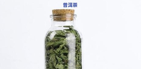 普洱茶是绿茶吗，普洱茶是不是属于绿茶？一次全面解析