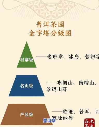 普洱茶示意图高清大图下载