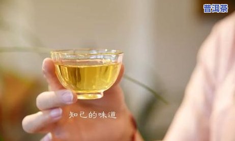 普洱春茶与秋茶差别有多大？详解两者的不同之处