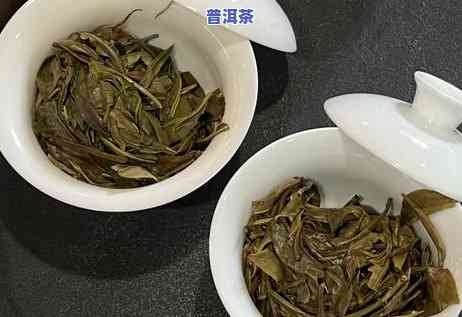 普洱春茶与秋茶叶子-普洱春茶与秋茶叶子的区别