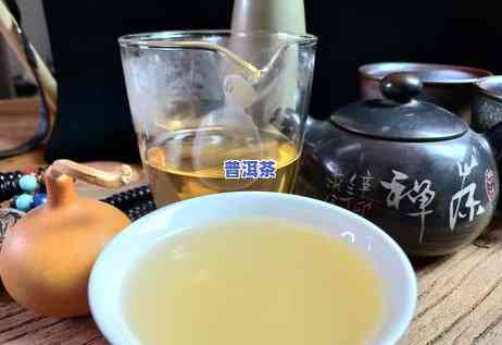 普洱春茶与秋茶叶子-普洱春茶与秋茶叶子的区别