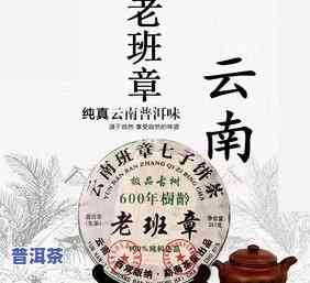 老班章68万古树茶-老班章600年古树茶