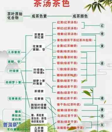 中期普洱茶口感特点分析-中期普洱茶口感特点分析图