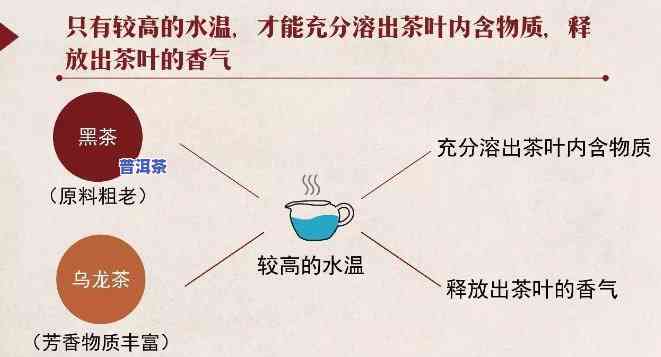 普洱茶存放温度与时间表：全面解析与图片展示