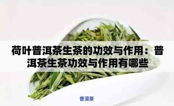 荷叶普洱茶的适合人群及功效，荷叶普洱茶：适宜人群与神奇功效全解析