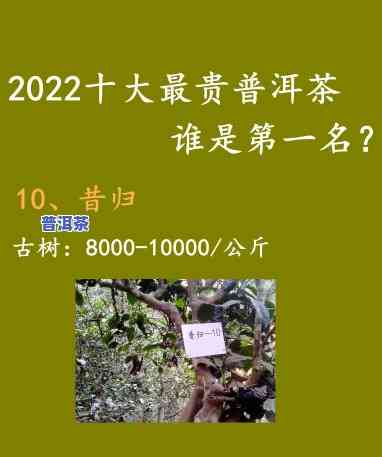 吉林普洱茶哪个好卖些呀，客户分享：吉林普洱茶哪些销量较好？