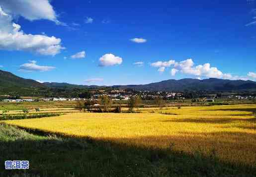 云南普洱有高原反应吗，普洱位于云南高原，旅游时需要留意高原反应吗？