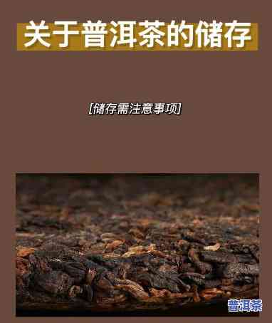 新鲜普洱茶更佳存放方法与技巧详解视频