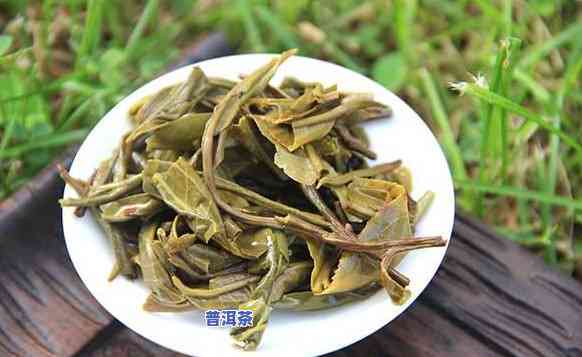 新鲜普洱茶怎么存放更好-新鲜普洱茶怎么存放更好呢