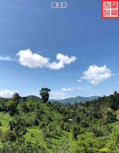 西双版纳老班章风景区，探访神秘的西双版纳老班章风景区