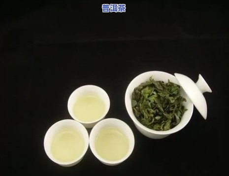 铁观音和普洱茶是绿茶吗，铁观音和普洱茶是不是属于绿茶？探讨它们的分类归属