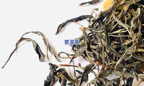 象明贡茶和普洱茶谁更贵一点，象明贡茶与普洱茶：价格对比分析