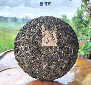 弯弓6号古树高杆普洱茶-弯弓普洱茶百科