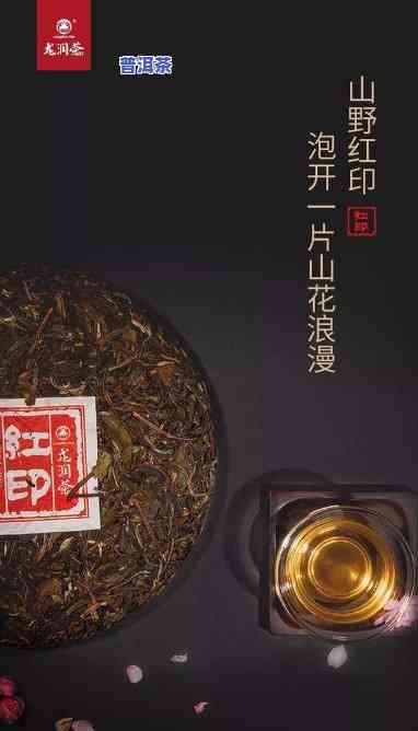 普洱茶上面的纸能喝吗，揭开普洱茶上的神秘纸片：能否饮用？