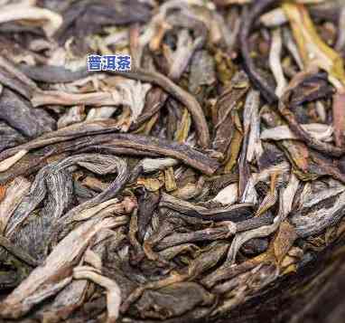 大益普洱茶：几个储存仓位？请看详解