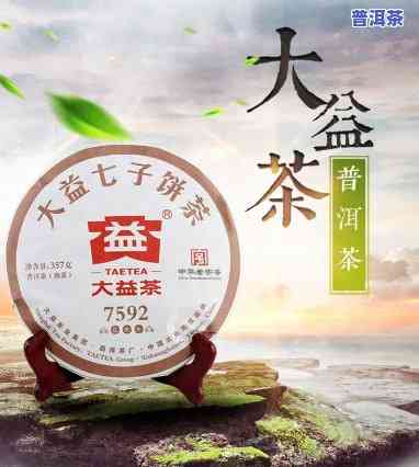 大益普洱茶：几个储存仓位？请看详解