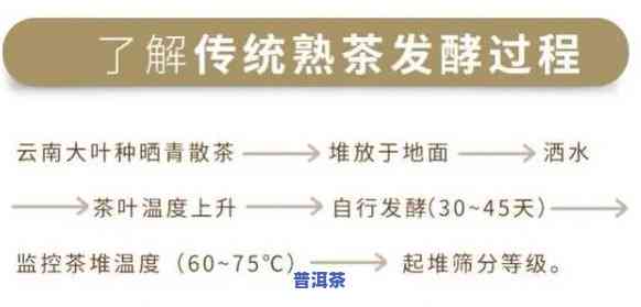 普洱茶的转化周期是多久啊，探秘普洱茶的转化周期：从鲜叶到佳茗需要多长时间？