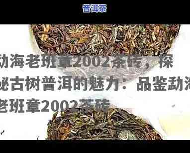 勐海老班章2002茶砖，探秘茶叶珍品：勐海老班章2002茶砖的传说与故事