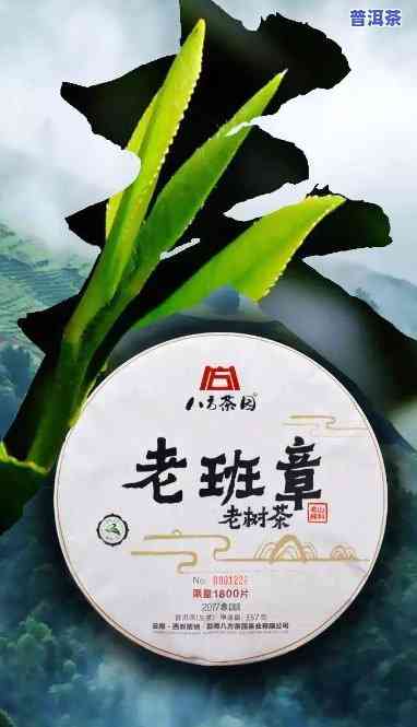 老班章排名前十名：揭秘茶叶界顶级