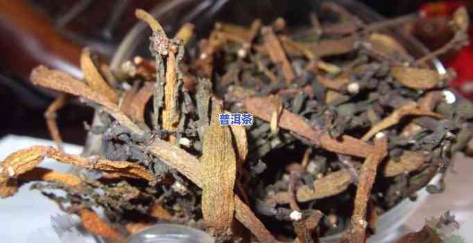 普洱茶笋壳怎样避免虫蛀：方法与技巧