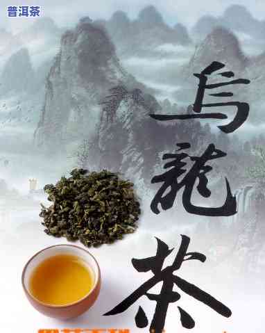 乌龙茶普洱茶的功效与作用及禁忌，探索乌龙茶普洱茶的神奇功效与作用，以及你需要知道的饮用禁忌