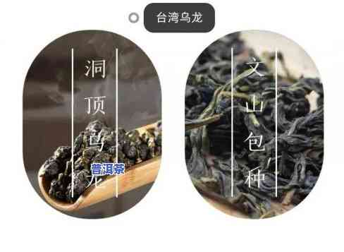 乌龙普洱茶的功效与禁忌-乌龙普洱茶的功效与禁忌是什么