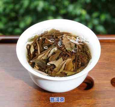 白茶红茶普洱茶的区别，探究不同茶叶的差异：白茶、红茶与普洱茶的区分与特点