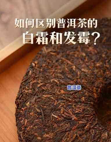 普洱茶起白霜是好是坏啊，普洱茶上的白霜：是好是坏？