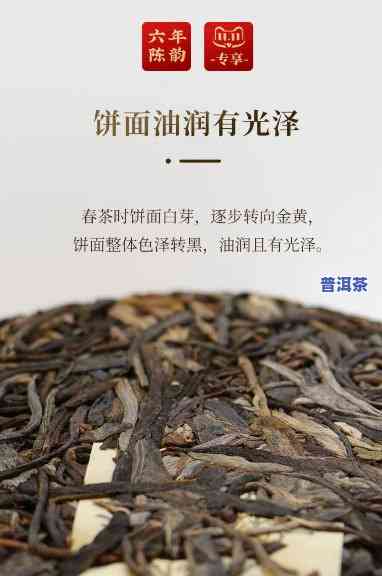 云南典聘号普洱茶与则道-普洱茶典汇