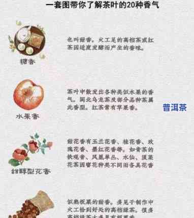 寻找糯香普洱的更佳形容词：你不可错过的词汇大全