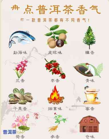 形容普洱茶香的成语大全