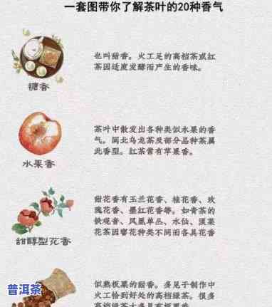 普洱的香气怎么形容-普洱的香气怎么形容的