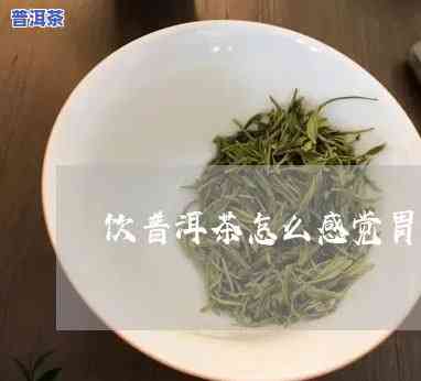 普洱茶喝完胃有点不舒服的起因是什么？