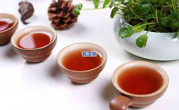 形容普洱茶颜色，品鉴普洱茶：探秘其深邃色泽的魅力