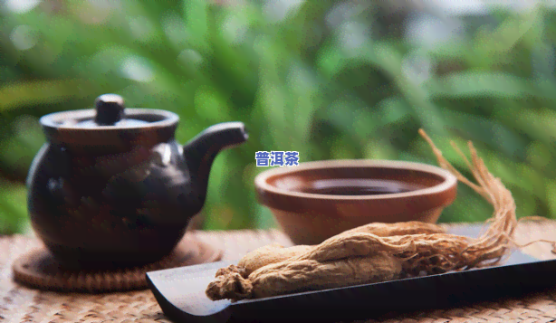 人参灵芝是不是适合泡普洱茶？功效及冲泡方法解析