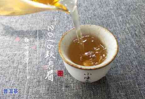 白茶和普洱茶的区别，品鉴茶艺：深入熟悉白茶与普洱茶的异同之处