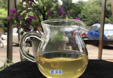 喝普洱茶舌头发麻？看完这7点就懂了！