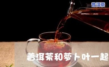 喝普洱茶能吃萝卜吗，普洱茶与萝卜：能否同时食用？