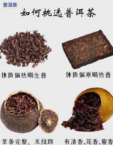 杭州普洱茶排行：前十名一览