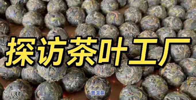 探秘勐宋地区：哪些茶叶在此地闻名？走进勐宋茶厂一探究竟！