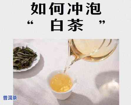 普洱白茶的冲泡方法-普洱茶白茶怎么保存