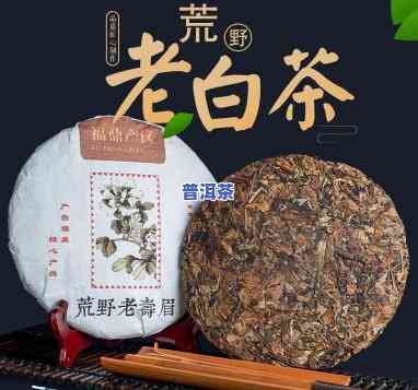 福鼎白茶和普洱哪个好，探讨茶叶之选：福鼎白茶与普洱，哪个更胜一筹？