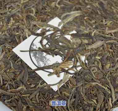 为什么云南茶都是普洱茶呢，揭秘云南茶为何以普洱茶为主导？