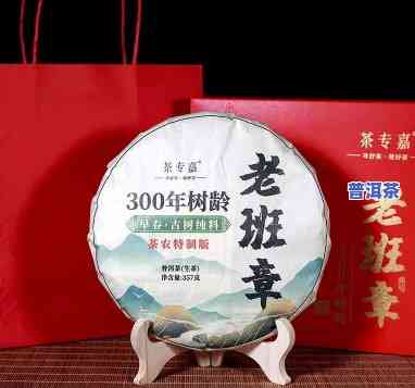 300年老班章古树-300年老班章古树茶多少钱一斤