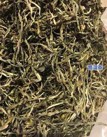 老班章古树茶是什么茶，探秘神秘的老班章古树茶：熟悉这款茶叶的前世今生