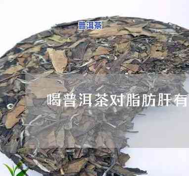 普洱茶治疗脂肪肝：效果怎样？