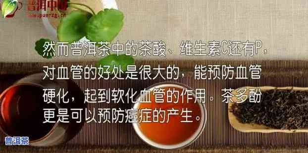 普洱茶能消除脂肪肝吗？详解功效与适宜人群