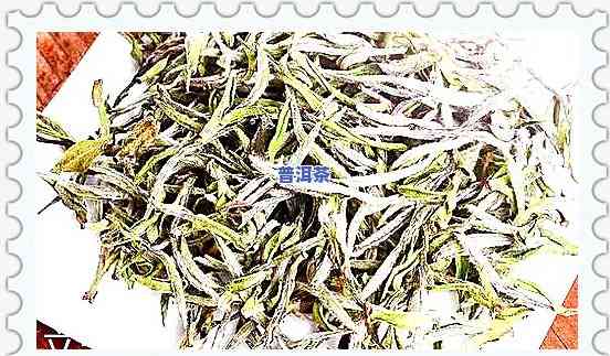 福鼎白茶：是茶叶吗？探讨其身份与特性