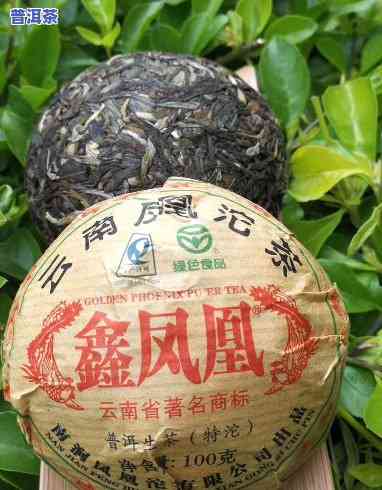 深入熟悉土林凤凰沱茶(生茶)的特点与口感，价格怎样？